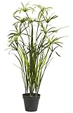 Nearly Natural 4763 Papyrus Decorative Silk Plant, 3-Feet, Green by Nearly Natural
