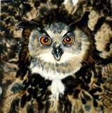 フクロウ装飾セラミック壁アートタイル4 x 4