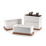 T4U 16.5CM 陶器鉢 白 矩形 植木鉢 多肉植物 サボテン鉢 竹トレイ付き 4個入り