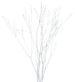 大地農園 ドライフラワー  三又ソフト100cm (5本入り) 白 DO052382-011