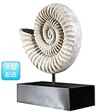 FRP　オウムガイの殻(小) / Nautilus Shell　【恐竜オブジェ　博物館オブジェ　店舗
