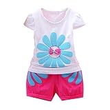 DDLBiz 1set子供用女の子ベビー花トップスシャツホットパンツショートパンツ夏服 カラー: ピンク