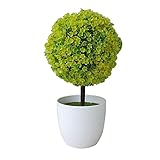 偽の緑の草植物の偽の花偽の植物人工多肉植物人工植物