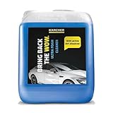 【純正品】ケルヒャー(Karcher) 3in1ウルトラフォームクリーナー 5L 6.296-173.0 ブルー