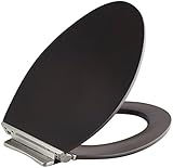 KOHLER K-4761-BN-DAW Avantis Quiet-Close Elongated Toilet Seat with Quick-Release Vibrant Brushed Ni