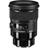 SIGMA 単焦点広角レンズ 24mm F1.4 DG HSM | Art A015 SONY-Eマウント用 ミラーレス(フルサイズ)専用
