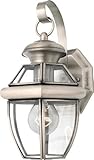 Quoizel NY8315P Newbury 1 Light Outdoor Wall Lantern with Pewter Finish by Quoizel [並行輸入品]