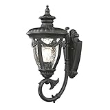 Elk Lighting 45075/1 Anise Collection 1 Light Outdoor Sconce, Textured Matte Black [並行輸入品]