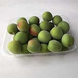 南高梅(または南高梅の派生種) 約1Kg(福岡または大分産) 南高梅(または南高梅の派生種) 約1Kg(福岡または大分産)