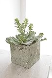COVENT GARDEN（コベントガーデン） サキュレントポット・アエオニウム 造花 人工観葉植物 VU-02 【まとめ買い×4セット】