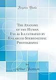 The Anatomy of the Human Eye as Illustrated by Enlarged Stereoscopic Photographs (Classic Reprint)