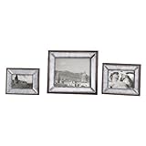 Daria Antique Mirror Photo Frames S/3 18567 by Uttermost [並行輸入品]