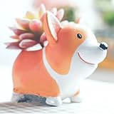 Non-brand 樹脂　犬サボテン　多肉植物　フラワーポット