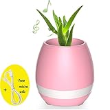Ealona 音楽ポット ワイヤレス Bluetooth USB接続 七色変換LED 植物ピアノ音楽再生ライトラウンドポット(植物なし) (ピンク)