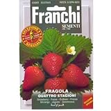 [ 西洋野菜 種 ] 四季成りイチゴ