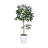グリーン／観葉植物 光触媒 造花 パキラトピアリー グリーン 人工植物 消臭 抗菌 防菌 ホルムアルデヒド 植物 人工 タバコ アートフラワー オフィス プレゼント ギフト