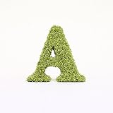 A plus floral art インテリアグリーン イニシャルモス [ A ] アルファベット オブジェ 置物 苔 イニシャル 雑貨 北欧風 インテリア