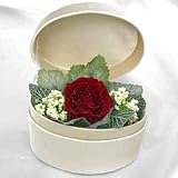 天然誕生石アクセサリー付　1月のバースデーフラワー香る BOXアレンジ 赤いバラのアレンジプリザーブドフラワー