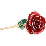 eBoTrade Valentine 's Dayレッドローズ、Love Forever、ローズDipped in 24 Kゴールド、母の日、記念日、誕生日のベストギフト