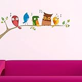 Decals Design Stickerskart Wall Stickers Singing Funny Birds (Wall Covering Area: 80cm x 40cm Produc