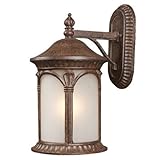 Z-Lite 2021M-WB Hampton Outdoor Wall Light, Metal Frame, Weathered Bronze Finish and White Seedy Sha