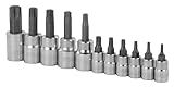 11 PC TORX BIT SOCKETSET-