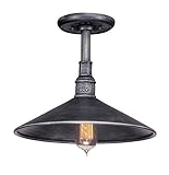 Troy Lighting Toledo 14"W 1-Light Outdoor Pendant - Old Silver Finish [並行輸入品]