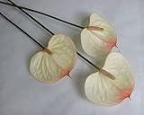 プリティマーメイド 生花 切花 切り花 アンスリューム マキシマ CPなど5本