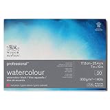 Winsor & Newton ウィンザー&ニュートン プロフエッショナル水彩紙 ブロック ブライトナチュラルホワイト 細目 300g 17.8×25.4cm 20枚 19102005