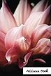 Address Book.: (Flower Edition Vol. C52)Glossy and Soft Cover, Large Print, Font, 6 X 9 for Contacts, Addresses, Phone Numbers, Emails, Birthday and More.