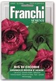 【FRANCHI社種子】【93/9】リーフチコリ　GRUMOLO ROSSA E VERDE