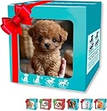 Citybabyロボット犬 おもちゃ 歩き踊る犬 本物の犬のように動く犬 - 歩く、吠える、尻尾を振る、 ソフトモデル 動物の声真似 音声制御 触れて 癒やしい 可愛い犬型ロボット 誕生日 クリスマスプレゼント (ブラウン（リボンタイプ）) [並行輸入品]