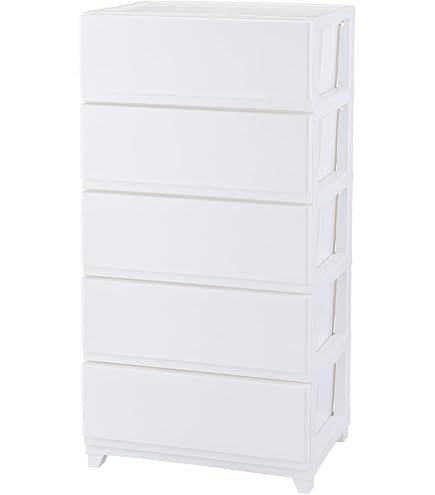 Amazon｜JEJアステージ(JEJ Astage) 収納ケース カラースタイル