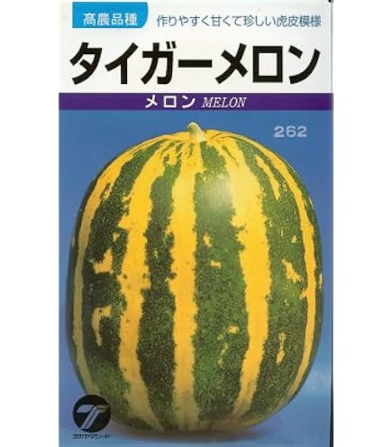 Amazon.co.jp: 中国野菜の種 長夕顔20粒 瓠瓜 夜開花 蒲瓜 瓢瓜 : DIY