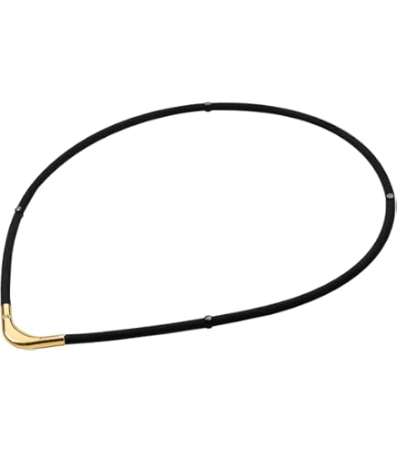 Amazon | ファイテン(phiten) ネックレス RAKUWA ネックX50