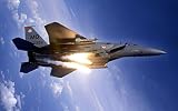 Military F - 15 Eagle Fighter – 12 x 18メタルアルミ壁アート