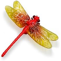 Amazon.co.jp: トンでもないトンボ アキアカネ 赤とんぼ ストラップ