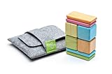 8 Piece Tegu Pocket Pouch Magnetic Wooden Block Set, Tints [並行輸入品]