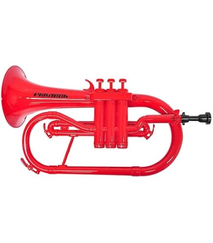 Amazon | MAXTONE フリューゲルホルン B♭管 ゴールドラッカー仕上げ
