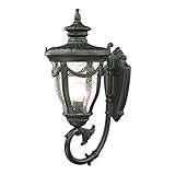 Elk Lighting 45076/1 Anise Collection 1 Light Outdoor Sconce, Textured Matte Black [並行輸入品]