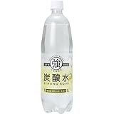 友桝飲料 強炭酸水レモン 1000ml×15本