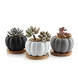 T4U 8.5CM 陶器鉢 パンプキン形 多肉植物、サボテン鉢 マット3色セット 各竹製トレイ付き 3点入り