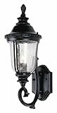 Trans Globe Lighting 4021 BC 20-Inch 1-Light Outdoor Up Wall Lantern, Black Copper [並行輸入品]
