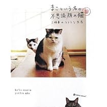 依頼者優先購入作品2　title「負けない猫」 01/25-26】ジョイフルAK屯田店保護猫の譲渡会[札幌市] - ニャン友 置物