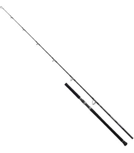 Amazon | ダイワ(DAIWA) オフショアキャスティングロッド ソルティガAP 