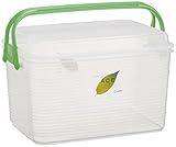 サンコープラスチック 日本製 取っ手付き 収納ボックス コンテナエース M グリーン