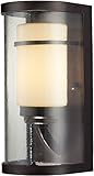 Elk 14100/1 5 by 11-Inch Caldwell 1-Light Outdoor Sconce with Glass Shade, Oiled Bronze Finish [並行輸入