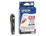 EPSON インクカートリッジ ICBK70L ブラック 増量