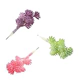 MagiDeal 3種類のカラーシミュレーション多肉植物Edelweissホームオフィス庭装飾DIY