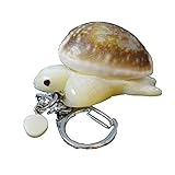 【縁起物】 カメ 夜光貝 & 宝貝 キーホルダー 白珊瑚付き